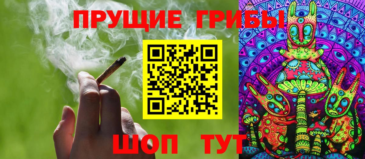 Кольчугино  даркнет сайт  Псилоцибиновые грибы MAGIC MUSHROOMS  Вход с VPN  Псилоцибиновые грибы мицелий 