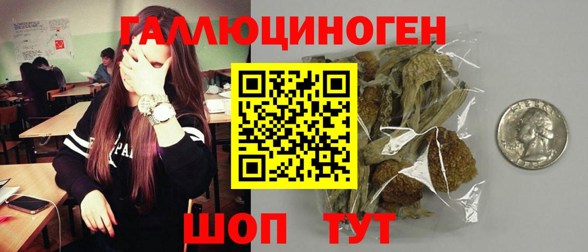 Галлюциногенные грибы GOLDEN TEACHER Кольчугино